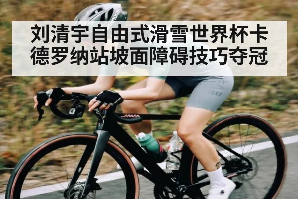刘清宇自由式滑雪世界杯卡德罗纳站坡面障碍技巧夺冠 | kaiyun