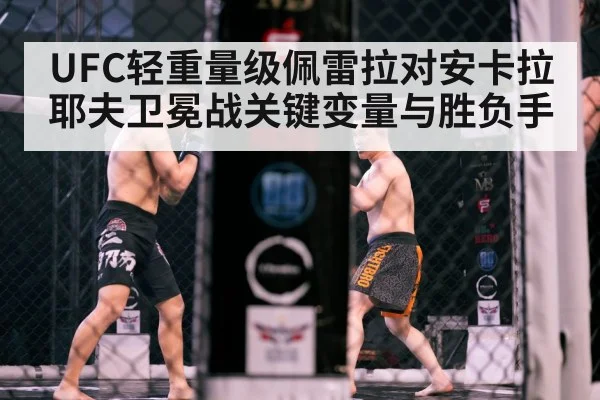 combat sports octagon